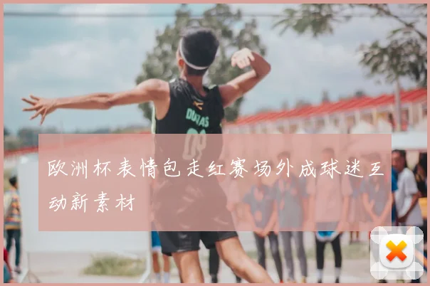 欧洲杯表情包走红赛场外成球迷互动新素材