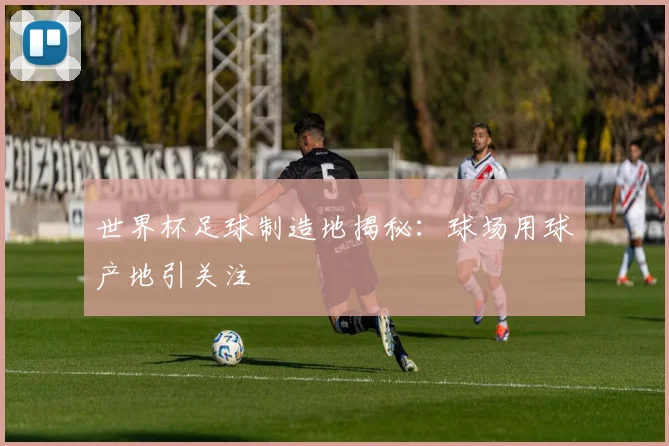 世界杯足球制造地揭秘：球场用球产地引关注
